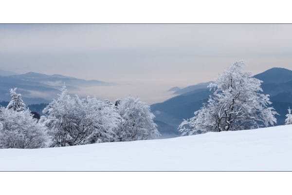 Luminance 2017_Christophe MICHLER_Paysages de neige_3